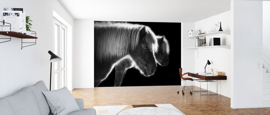 PHOTOWALL / Two Beautiful Horses (e315369)