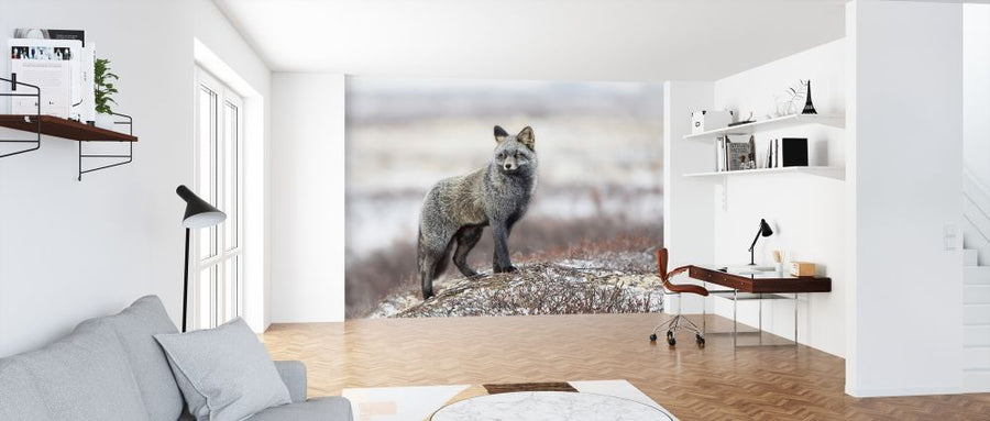 PHOTOWALL / Cross Fox (e315372)