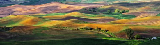 PHOTOWALL / The Palouse (e315391)