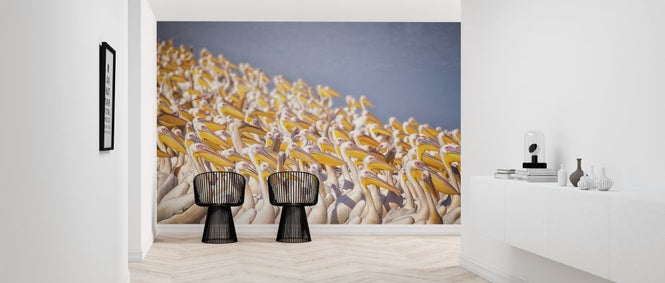 PHOTOWALL / Pelicans (e315427)