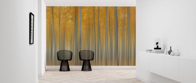 PHOTOWALL / Autumn Delight (e315428)