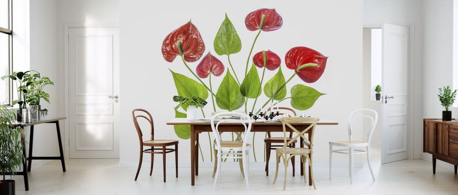 PHOTOWALL / Anthurium (e315434)