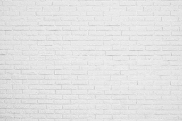 PHOTOWALL / White Brick Wall (e315644)