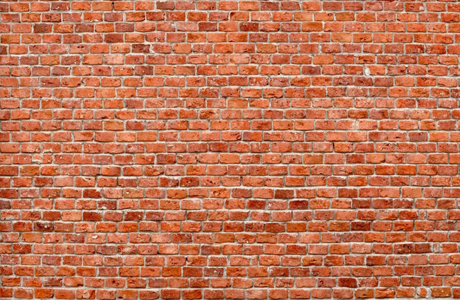 PHOTOWALL / Brick Wall (e315664)