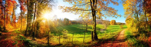 PHOTOWALL / Gorgeous Landscape (e315811)