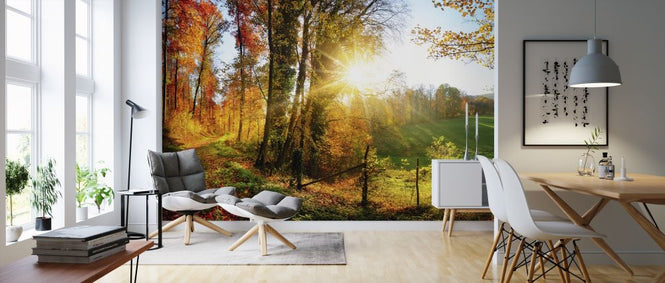 PHOTOWALL / Gorgeous Landscape (e315811)