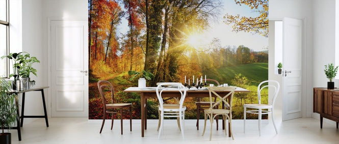 PHOTOWALL / Gorgeous Landscape (e315811)