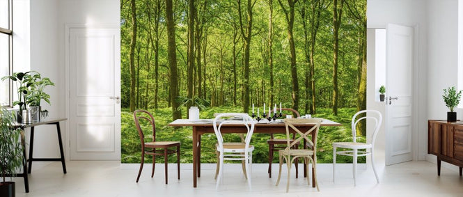 PHOTOWALL / Warming Green Forest (e315816)