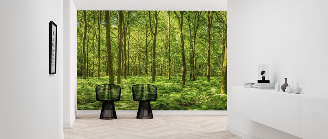 PHOTOWALL / Warming Green Forest (e315816)