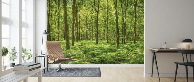 PHOTOWALL / Warming Green Forest (e315816)