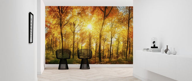PHOTOWALL / Autumn Forest (e315812)