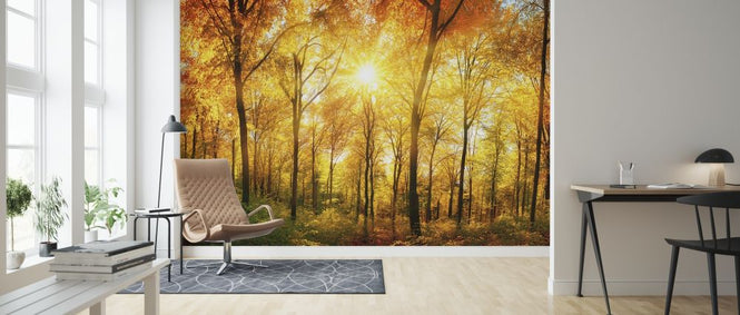 PHOTOWALL / Autumn Forest (e315812)