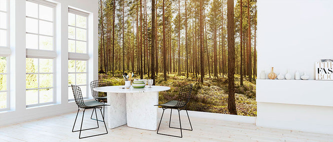 PHOTOWALL / Welcome to the Forest (e315818)