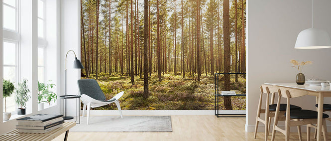 PHOTOWALL / Welcome to the Forest (e315818)