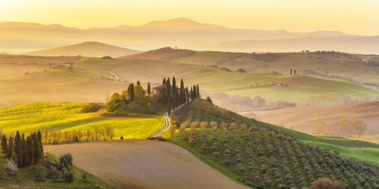 PHOTOWALL / Tuscany Vineyard (e315821)