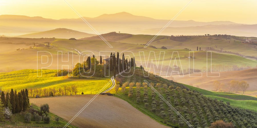 PHOTOWALL / Tuscany Vineyard (e315821)