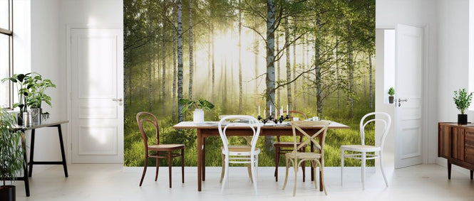 PHOTOWALL / Birch Trees Forest (e315825)