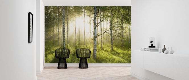 PHOTOWALL / Birch Trees Forest (e315825)