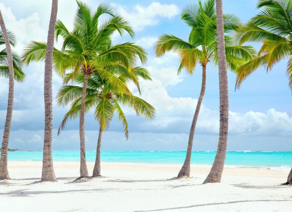 PHOTOWALL / Cap Cana Seacoast (e315829)