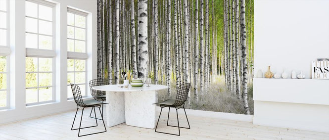 PHOTOWALL / Birch Trees (e315837)