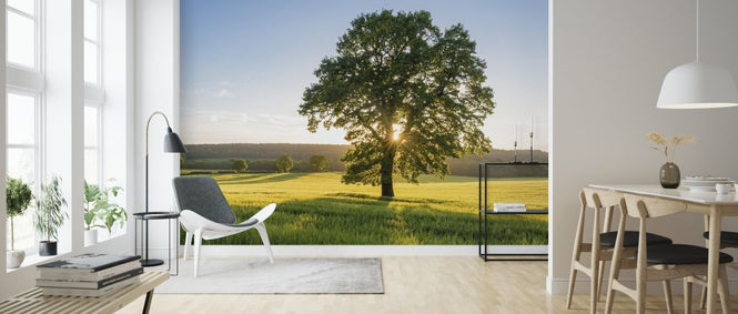 PHOTOWALL / Summer Field Sunset (e315841)