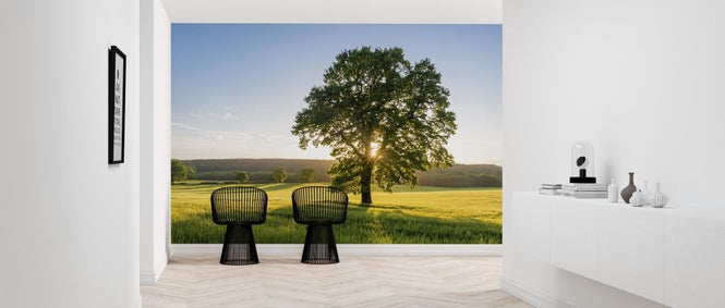 PHOTOWALL / Summer Field Sunset (e315841)