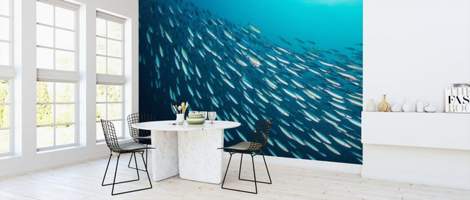 PHOTOWALL / School of Sardines (e315847)