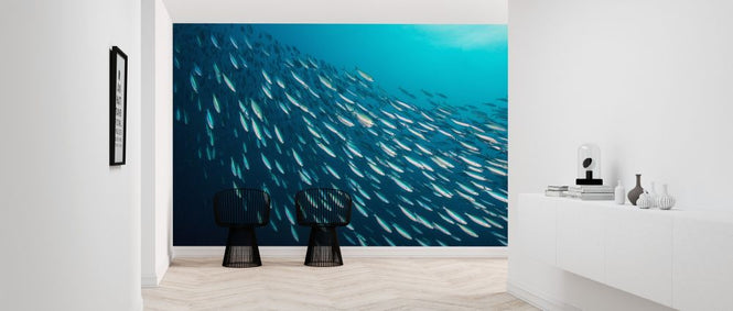 PHOTOWALL / School of Sardines (e315847)