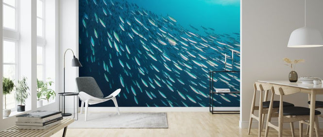 PHOTOWALL / School of Sardines (e315847)
