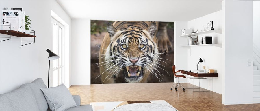 PHOTOWALL / Roaring Tiger (e315850)