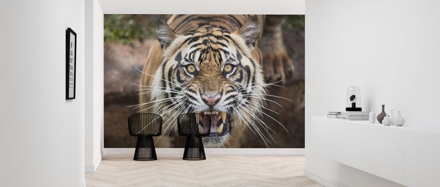 PHOTOWALL / Roaring Tiger (e315850)