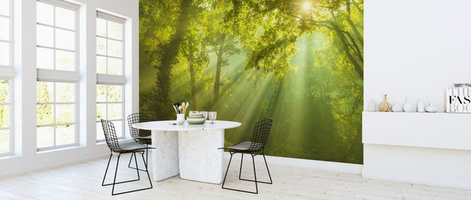 PHOTOWALL / Green Forest Sunlight (e315852)