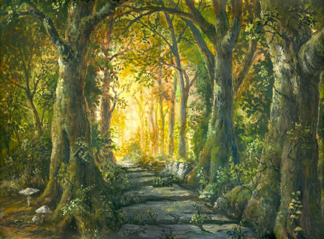 PHOTOWALL / Magical Forest (e315856)