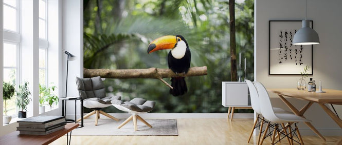 PHOTOWALL / Toucan on the branch (e315857)