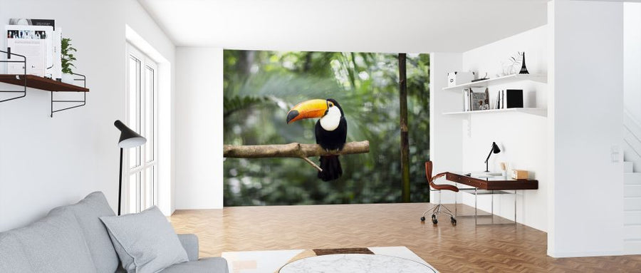 PHOTOWALL / Toucan on the branch (e315857)