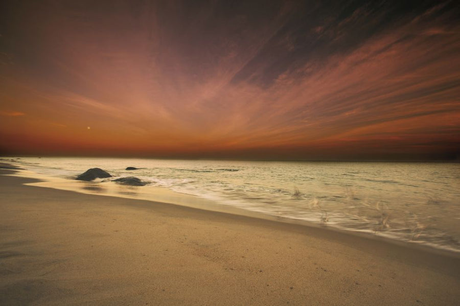 PHOTOWALL / Marthas Vineyard Beach (e315609)