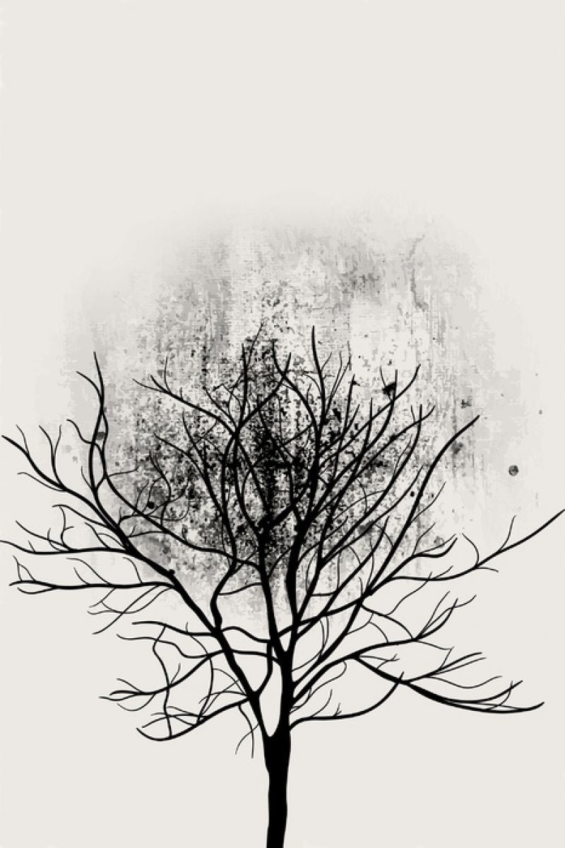 PHOTOWALL / Tree Study No 3 (e315972)