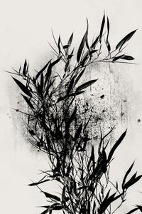 PHOTOWALL / Black Orchidee (e315981) | 輸入壁紙専門店 WALPA – WALPA.jp