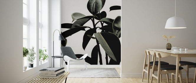 PHOTOWALL / Dark Green (e315985)