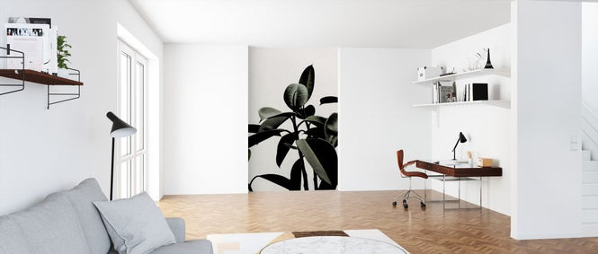 PHOTOWALL / Dark Green (e315985)