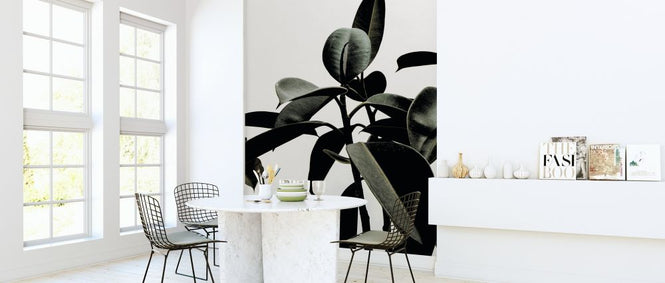 PHOTOWALL / Dark Green (e315985)