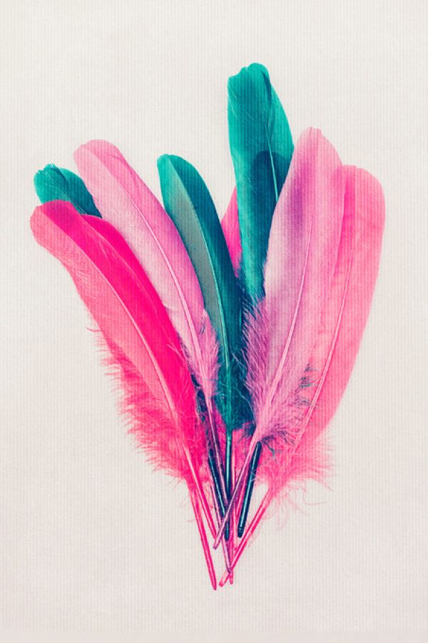 PHOTOWALL / Feather Bouquet (e315987)