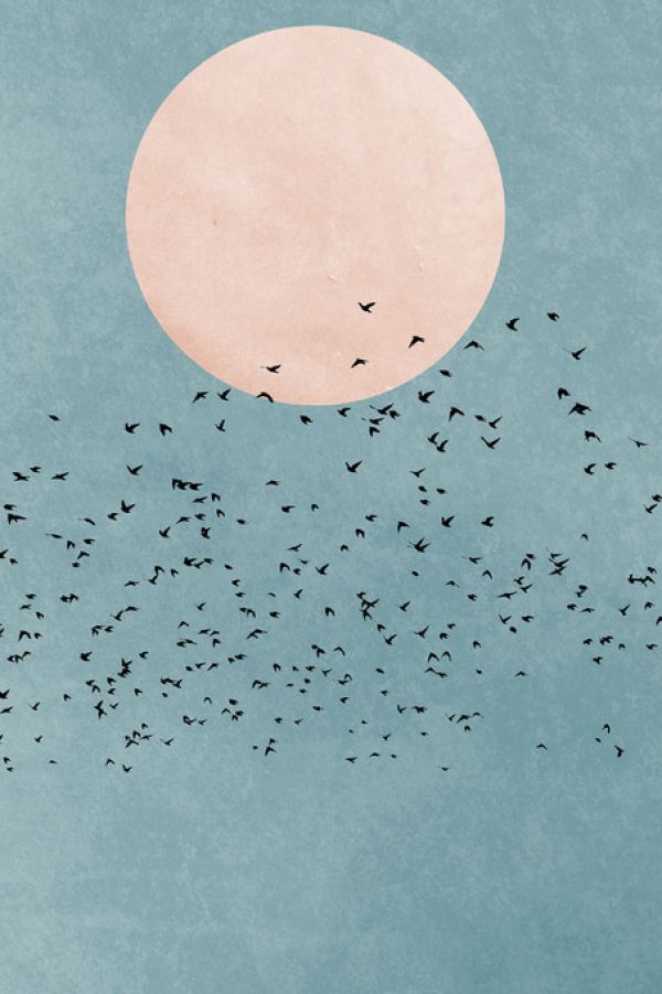 PHOTOWALL / Fly Away (e315988)