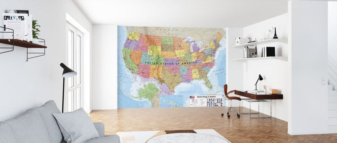 PHOTOWALL / Political USA Map (e316078)