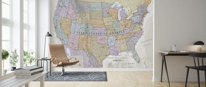 PHOTOWALL / Classic Political USA Map (e316081)