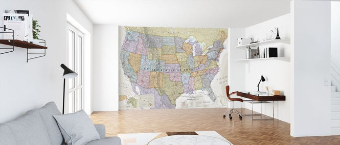 PHOTOWALL / Classic Political USA Map (e316081)