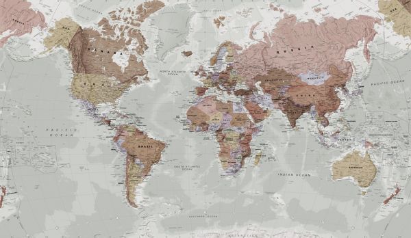 PHOTOWALL / Executive Political World Map (e316085)