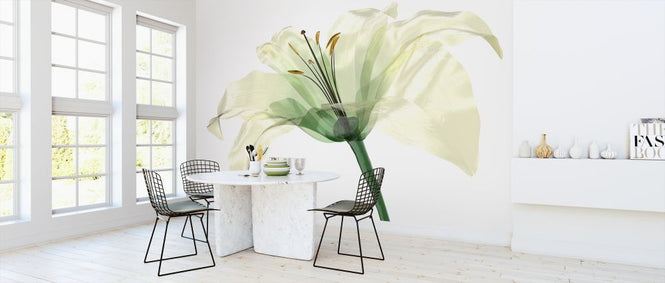 PHOTOWALL / Bright Lily Flower (e315863)