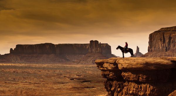 PHOTOWALL / Cowboy in Valley Tribal (e315870)