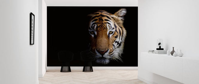 PHOTOWALL / Tiger (e315902)